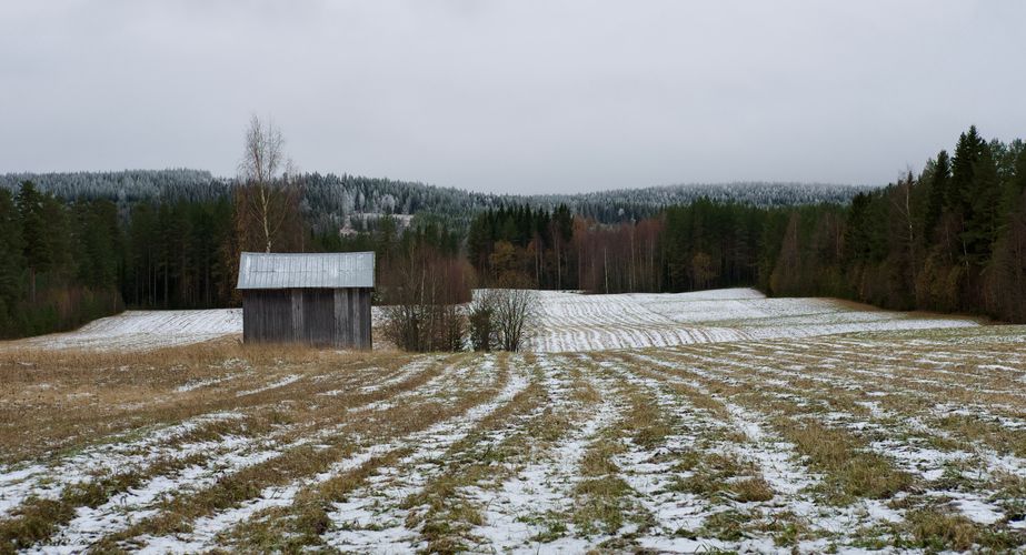 Husky kennel bezoeken